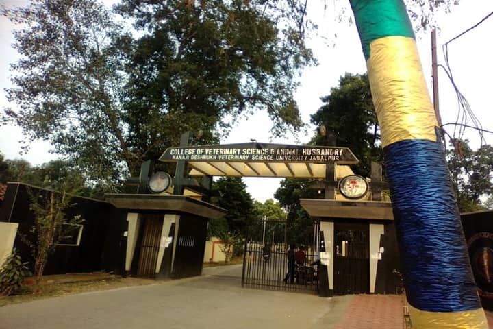 campus-view
